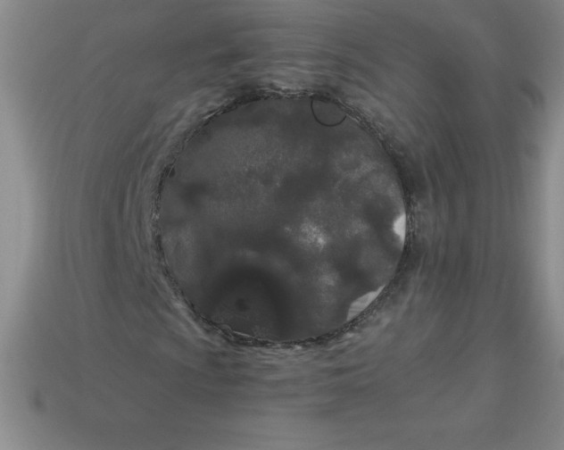 X0000113921009200910090932