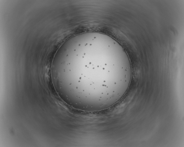 X0000113921010200910090932