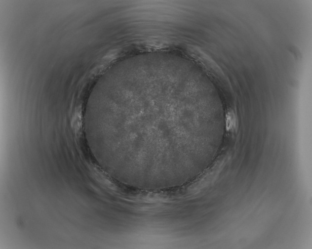 X0000113921011200910090932