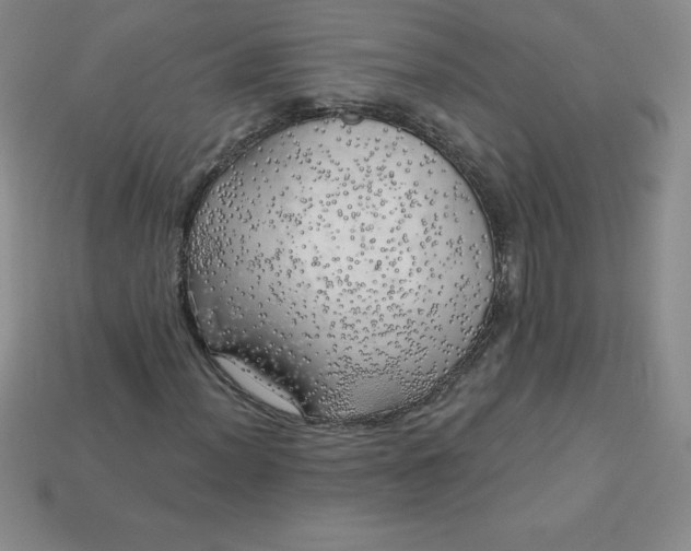 X0000113921012200910090932