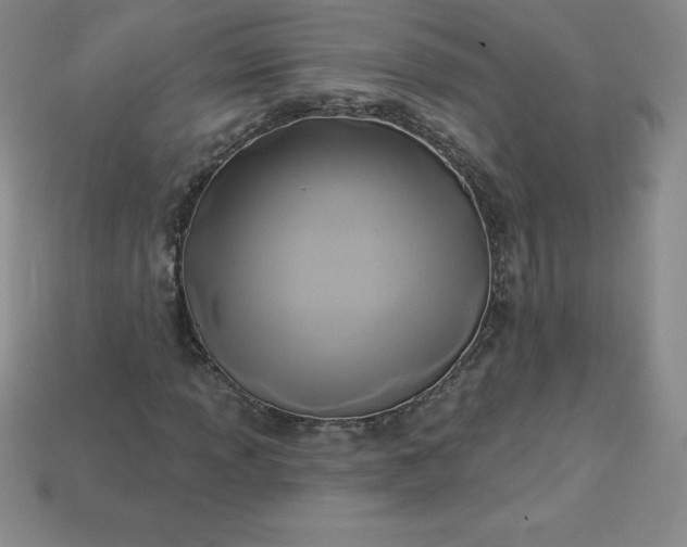 X0000113921013200910090932