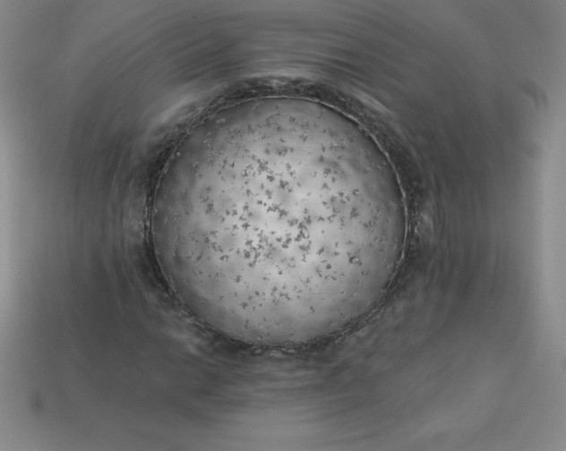 X0000113921014200910090932