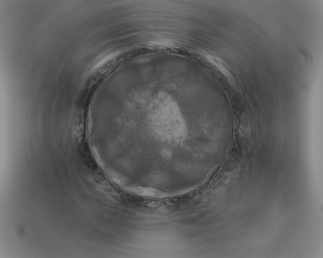 X0000113921015200910090932