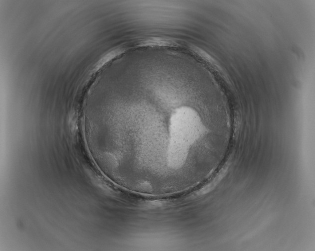 X0000113921017200910090932