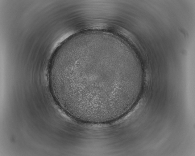 X0000113921018200910090932