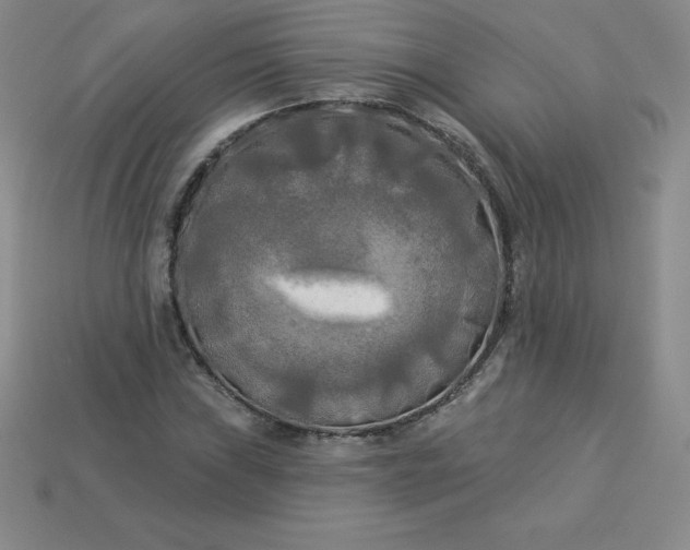 X0000113921019200910090932