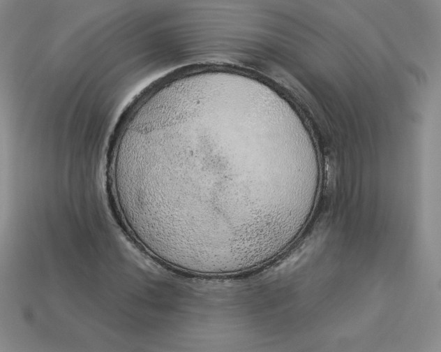 X0000113921020200910090932