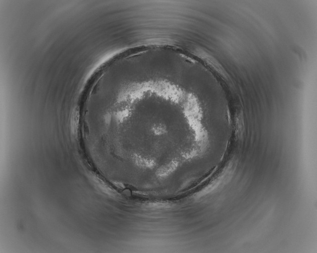 X0000113921021200910090932