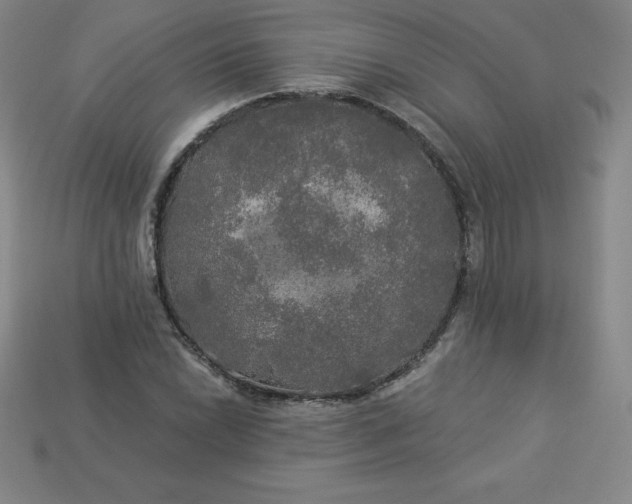 X0000113921022200910090932
