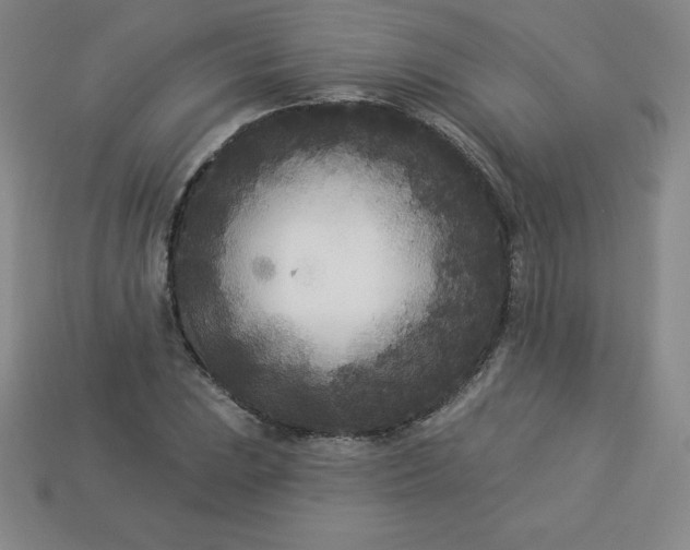 X0000113921023200910090932