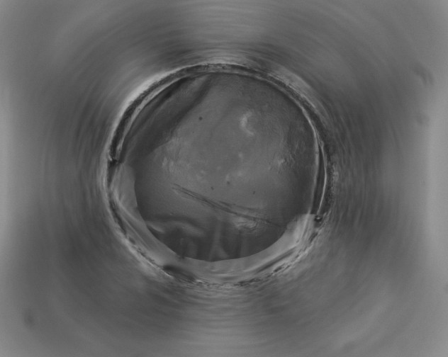 X0000113921024200910090932