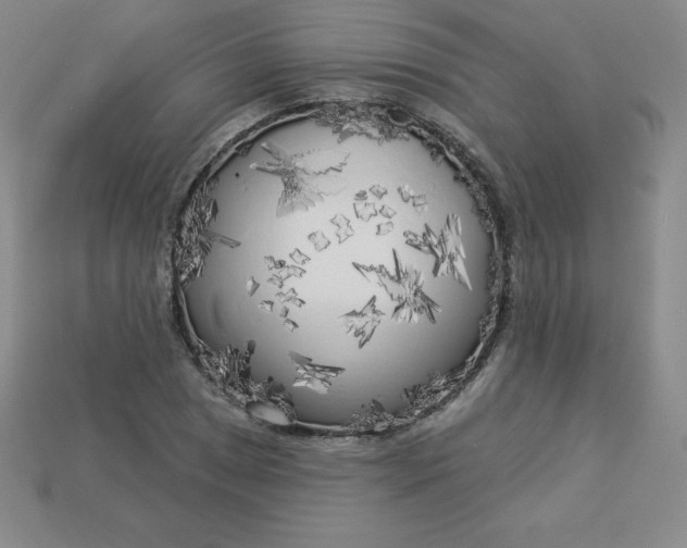 X0000113921025200910090932