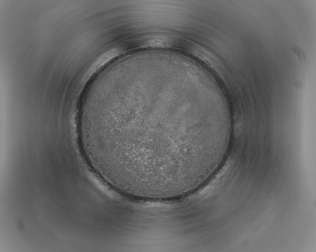 X0000113921026200910090932