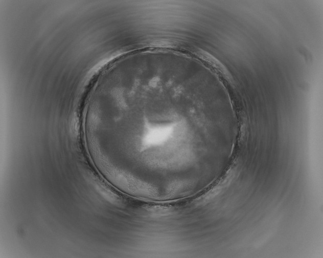 X0000113921027200910090932