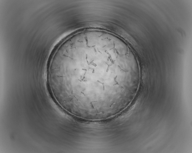 X0000113921028200910090932