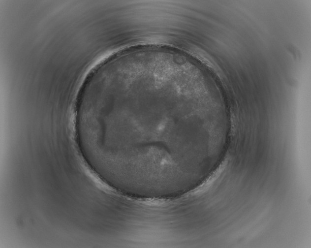 X0000113921029200910090932