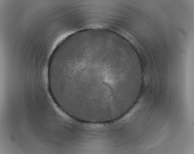 X0000113921030200910090932