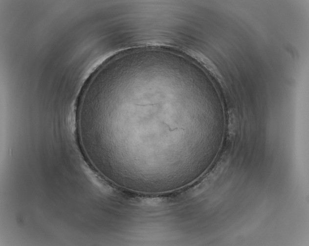 X0000113921031200910090932