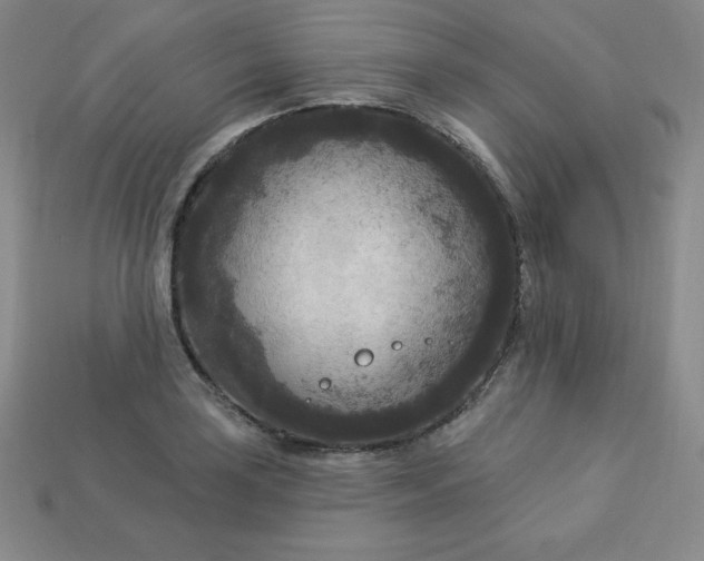 X0000113921035200910090932