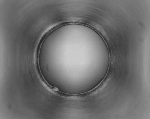 X0000113921037200910090932