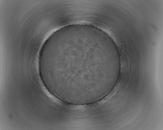 X0000113921038200910090932