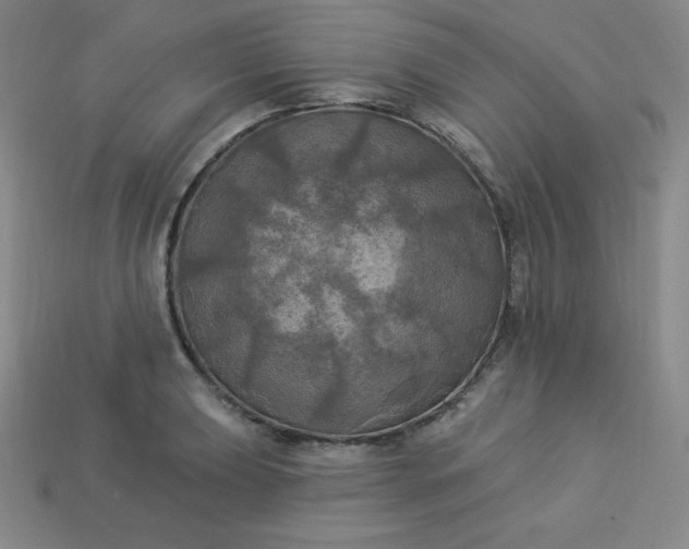 X0000113921039200910090932