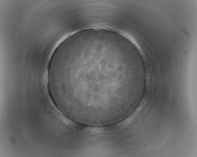 X0000113921040200910090932