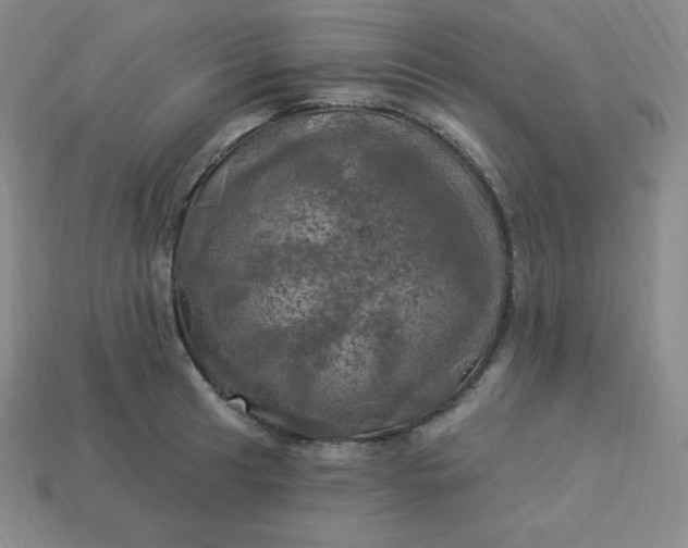 X0000113921041200910090932