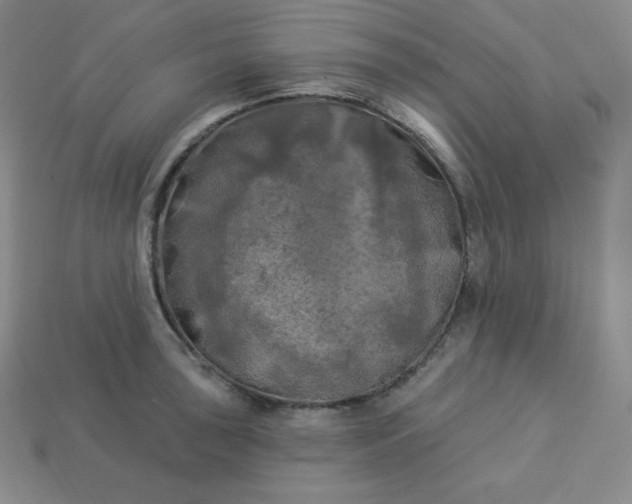 X0000113921043200910090932