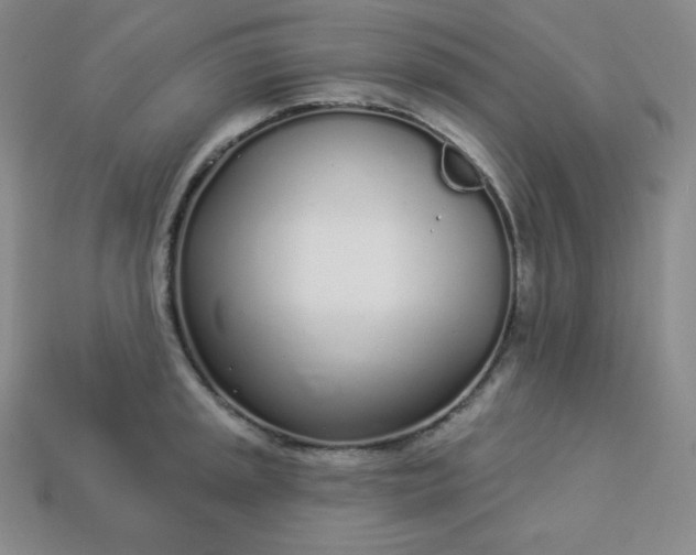 X0000113921045200910090932