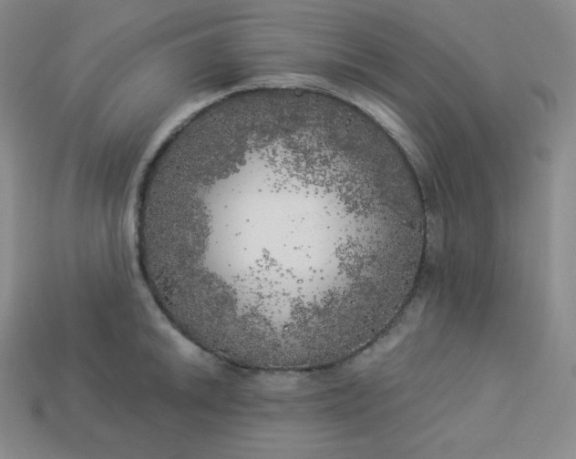 X0000113921046200910090932