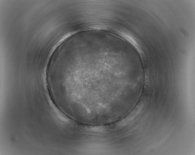 X0000113921047200910090932