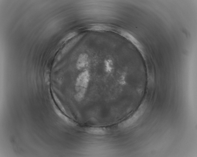 X0000113921049200910090932
