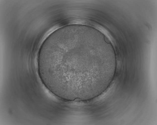 X0000113921050200910090932