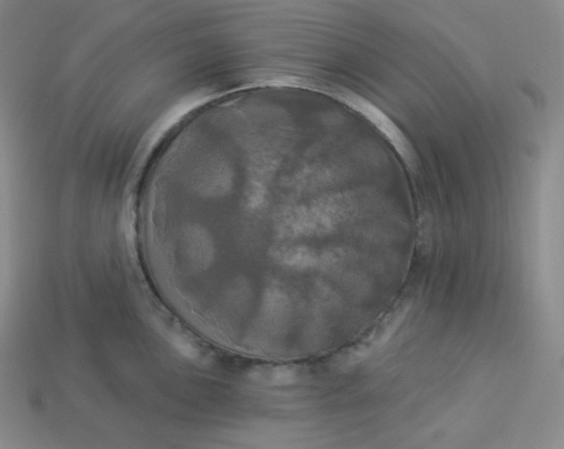X0000113921051200910090932