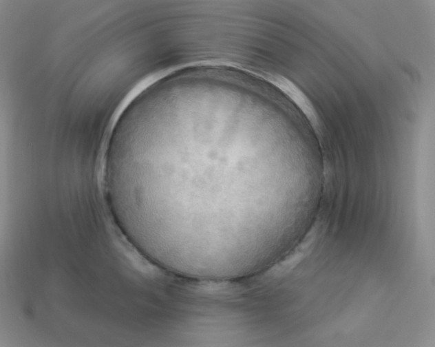 X0000113921052200910090932