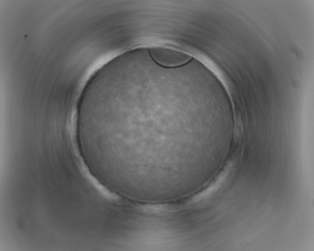 X0000113921053200910090932