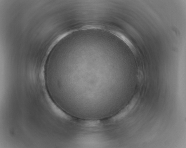 X0000113921055200910090932
