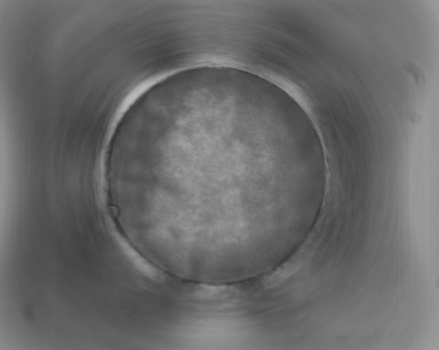 X0000113921056200910090932