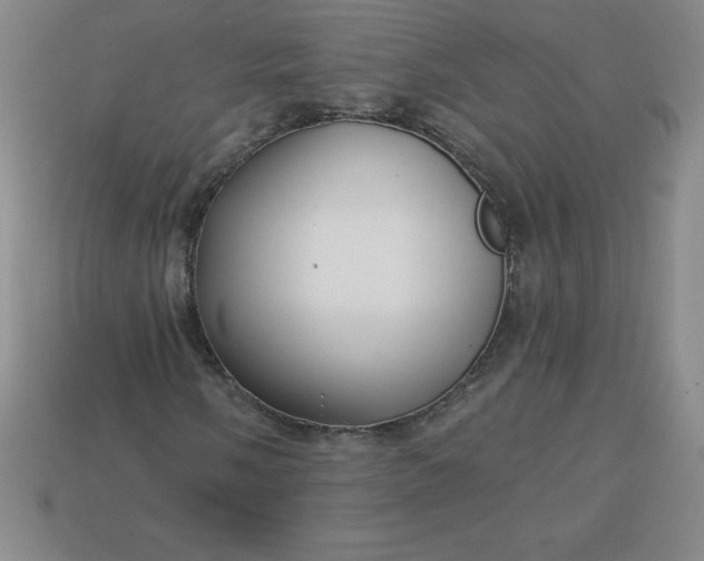 X0000113921058200910090932