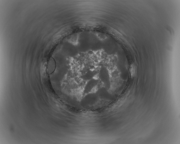 X0000113921059200910090931