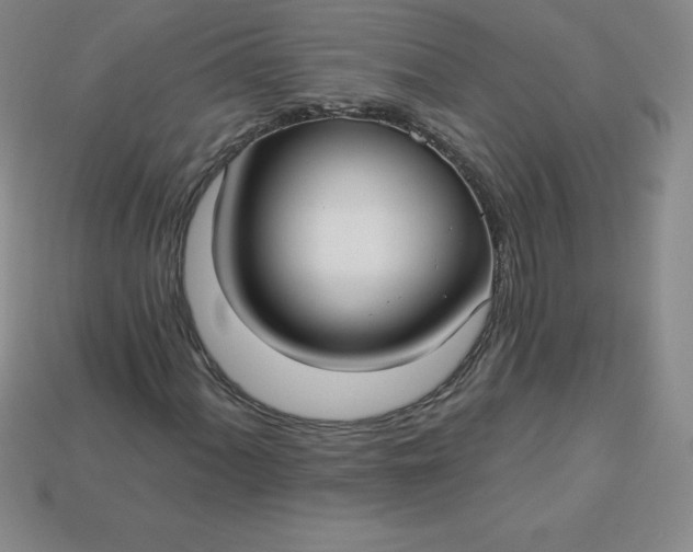 X0000113921060200910090931