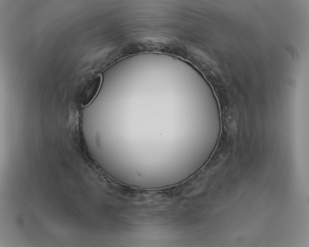 X0000113921061200910090931