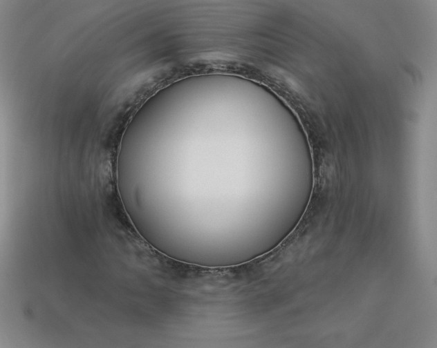 X0000113921062200910090931