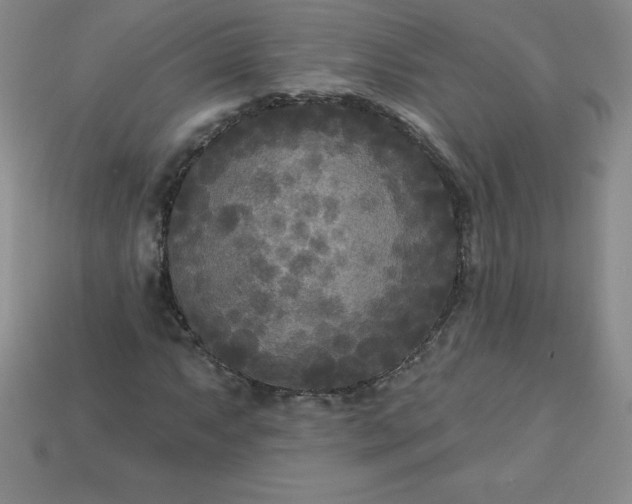 X0000113921063200910090931
