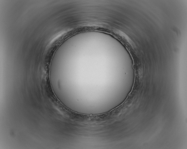 X0000113921064200910090931