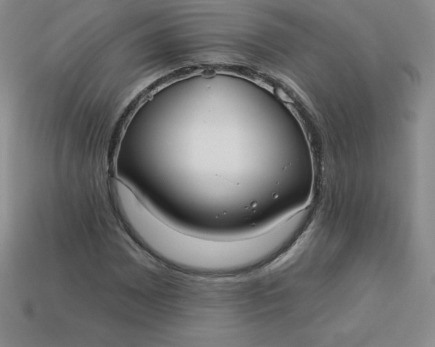 X0000113921065200910090931