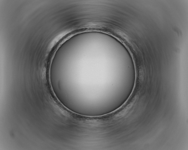 X0000113921066200910090931