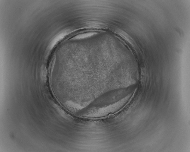 X0000113921067200910090931