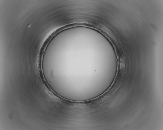 X0000113921068200910090931